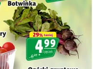Botwinka
