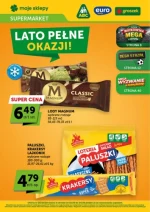 Czerwcowy koszyk promocji – moje sklepy