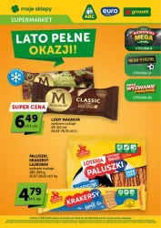 Czerwcowy koszyk promocji – moje sklepy
