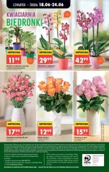 Smakuj chwile z grillem - Biedronka