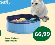 Basen dla psów