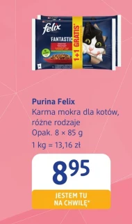 Mokra karma dla kota Purina