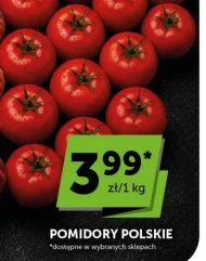 Помідори