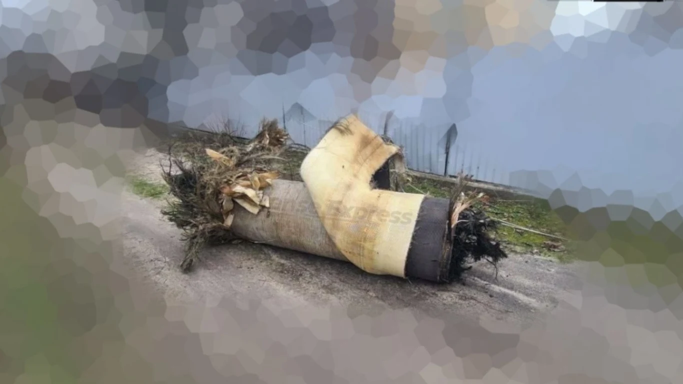 Szczątki pocisku 3M22 Cyrkon w Kijowie. Duży fragment zniszczonego, spalony wrak pocisku leżący na ziemi, otoczony resztkami roślinności wyrwanymi z ziemi.