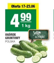 Огірок Polski