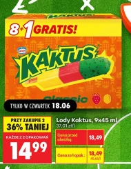 Морозиво Kaktus