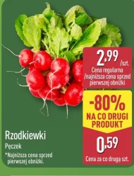 Rzodkiewki