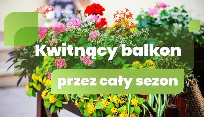 Kwitnący balkon przez cały sezon