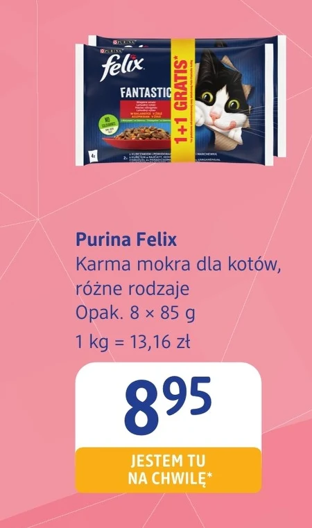 Вологий корм для котів Purina