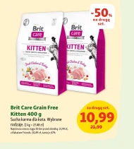 Karma dla kota Brit Care