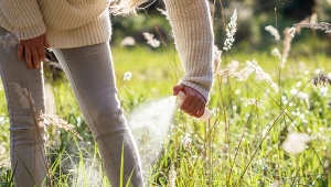 Popularna roślina skutecznie odstrasza kleszcze. Jak zrobić domowy spray?