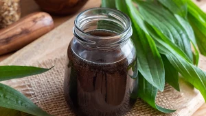Latem zrób syrop na bazie babki lancetowatej, pomaga na chrypkę i przeziębienie.