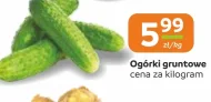 Ogórki
