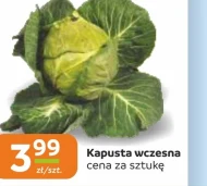 Kapusta