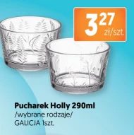 Кубок Galicja