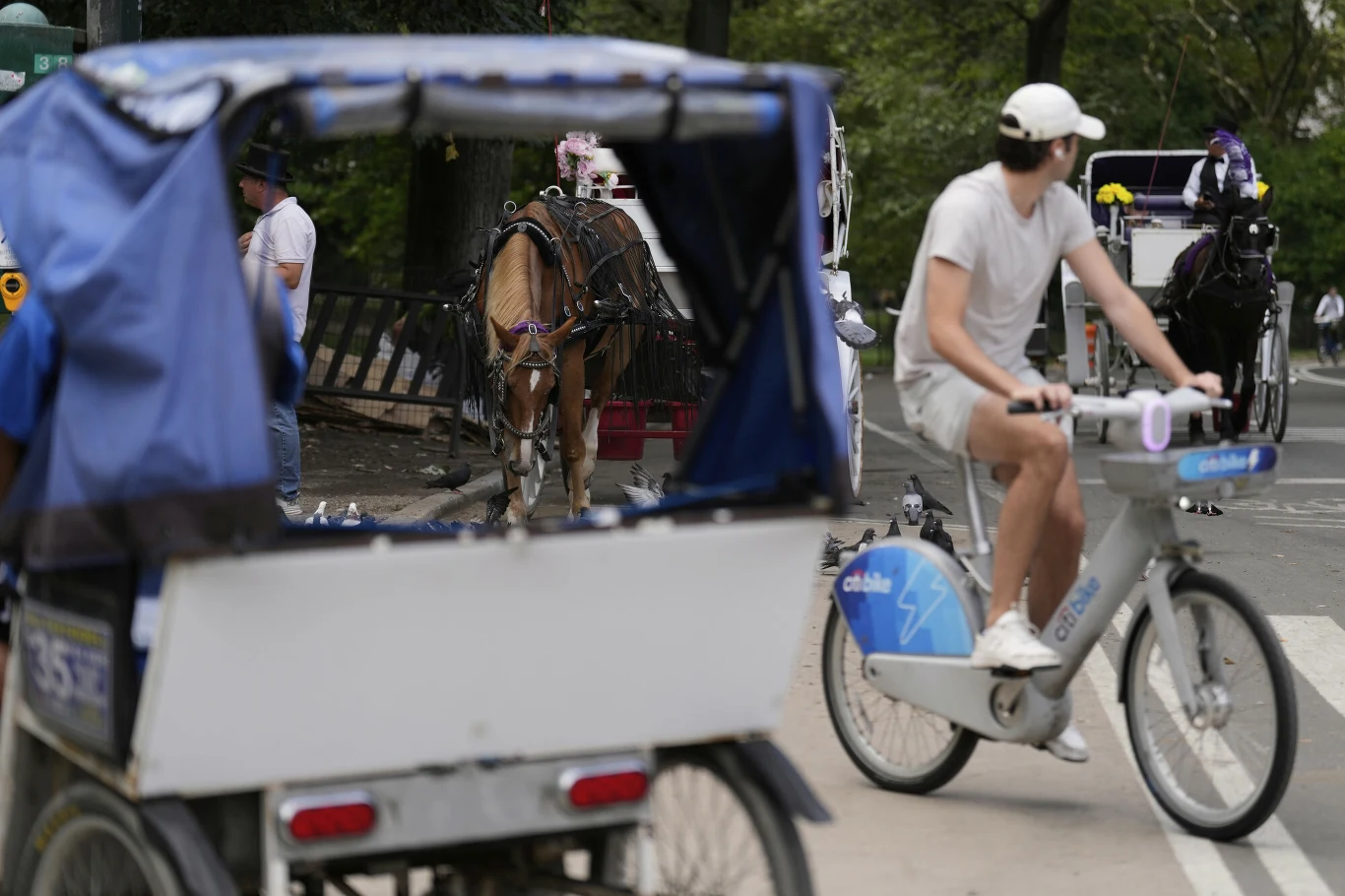 Rowerzysta na miejskim rowerze przejeżdża obok zaparkowanego dorożkarskiego wozu z osiodłanym koniem, na tle zielonych drzew parku.