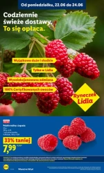 To się opłaca każdego dnia - Lidl