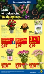 To się opłaca każdego dnia - Lidl