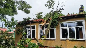 Nawałnice przeszły nad Polską. Ponad tysiąc interwencji strażaków
