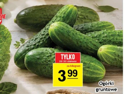 Огірки