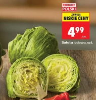 Салат Айсберг Polski