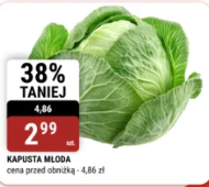 Kapusta