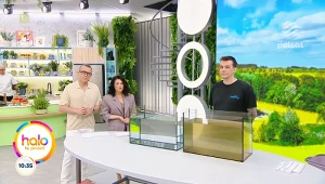 Kolor stroju ma znaczenie? Jaki wybrać, aby było bezpiecznie?