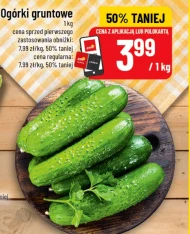 Ogórki