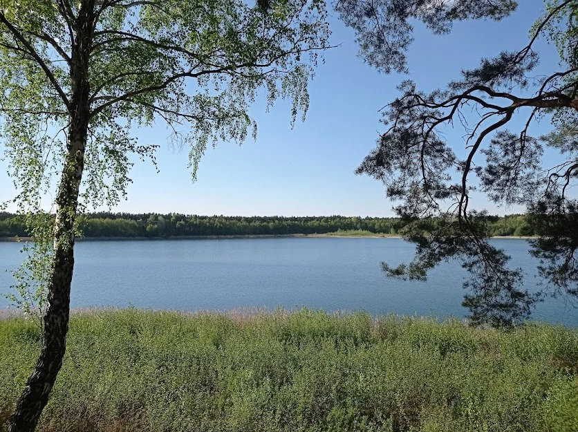 Jezioro Budzisławskie Jezioro otoczone zielenią, spokojna tafla wody i drzewa po obu stronach kadru na pierwszym planie.