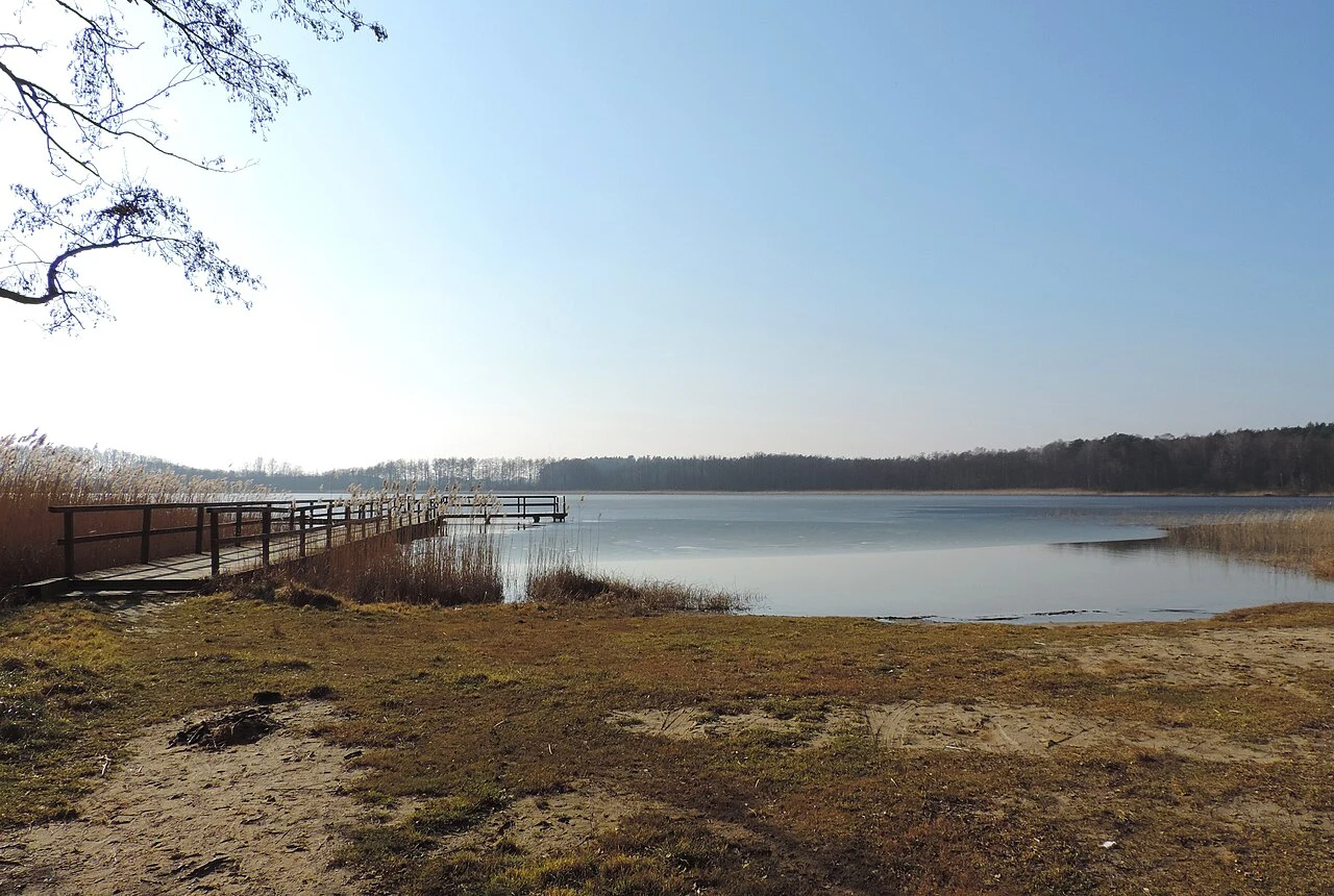 Drewniane molo prowadzące do spokojnego jeziora otoczonego trzcinami, w oddali widoczna linia lasu pod błękitnym niebem.