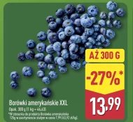 Borówka amerykańska