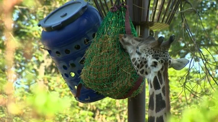 Dla zoo liczy się tylko i wyłącznie jakość pokarmu.