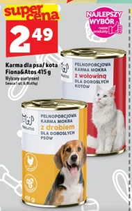 Mokra karma dla kota Karma