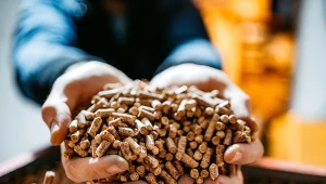 Tona pelletu za ułamek ceny. Ile kosztuje samodzielna produkcja w domu?