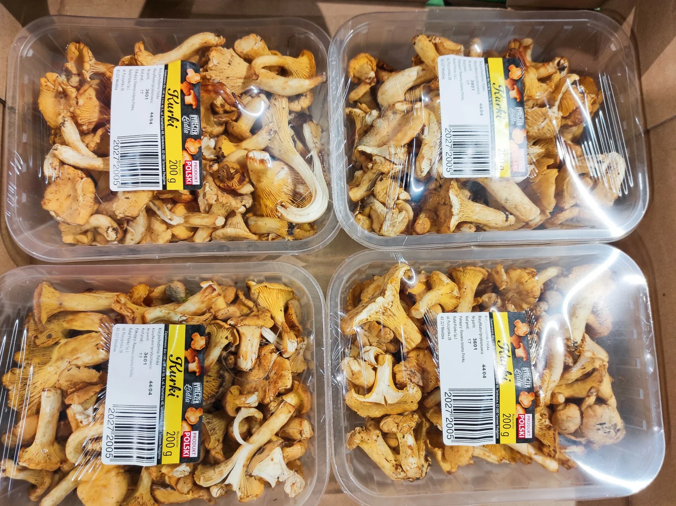 Takich kurek nigdy nie kupuj. Wcale nie są świeże Opakowanie świeżych kurek w sklepie. Grzyby leżą w plastikowym pojemniku, obok widoczna etykieta z krajem pochodzenia.