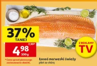 Łosoś Norweski