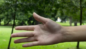 Masz taką linię na dłoni? Biolodzy wyjaśniają, co naprawdę oznacza