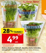 Zioła