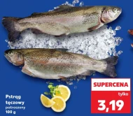 Pstrąg tęczowy