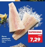 Dorsz