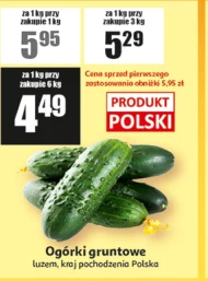 Огірки Polski