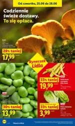 Lider świeżych okazji – Lidl