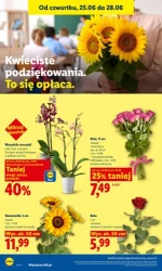 Lider świeżych okazji – Lidl