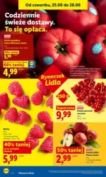 Lider świeżych okazji – Lidl