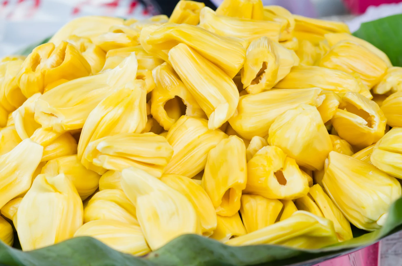Jackfruit może zastąpić mięso w diecie. Jasnożółte cząstki owocu jackfruita ułożone na dużym zielonym liściu.