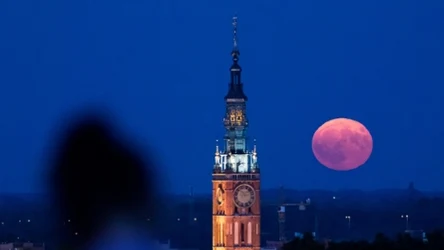 Zbliża się Truskawkowa Pełnia. Komu przyniesie szczęście?