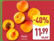 Morele