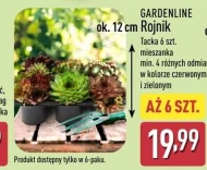 Rojnik Gardenline
