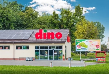 Market Dino