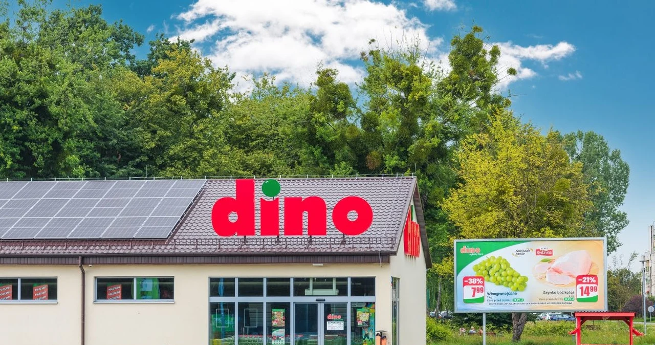 Nowa gazetka Dino od środy — 10 okazji, które się opłacają